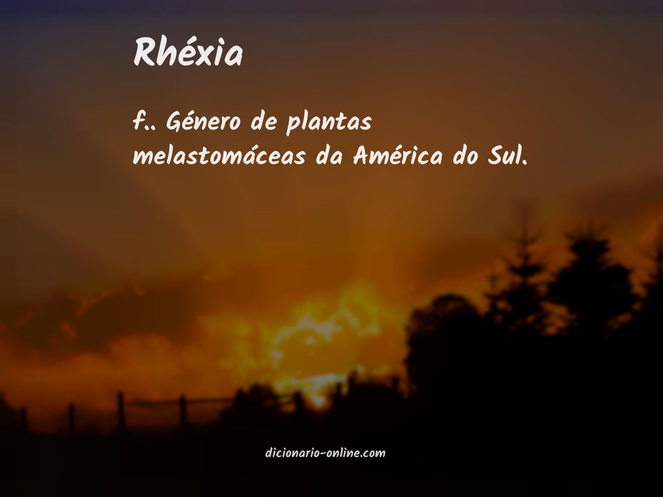 Significado de rhéxia