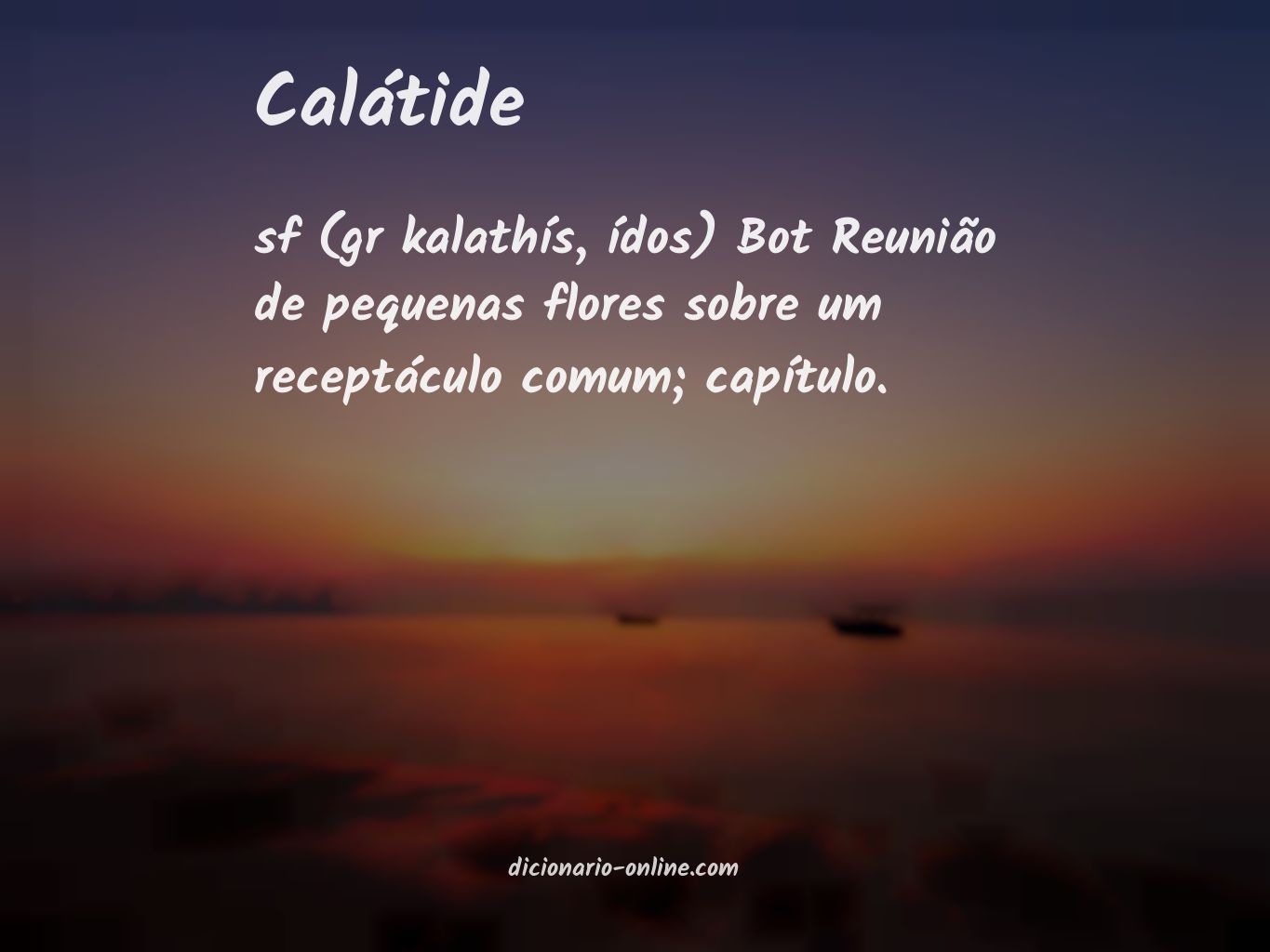 Significado de calátide