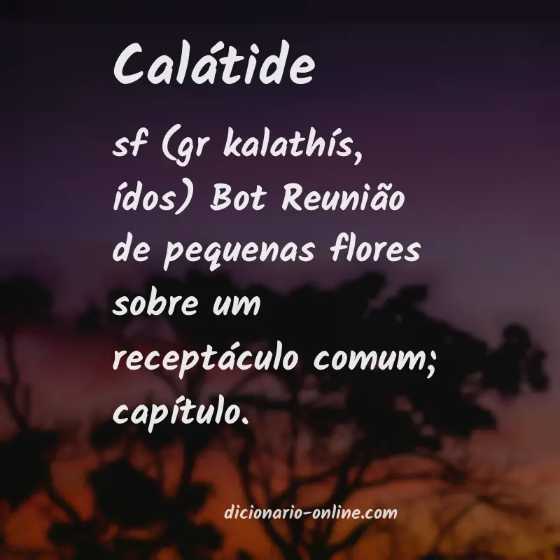 Significado de calátide