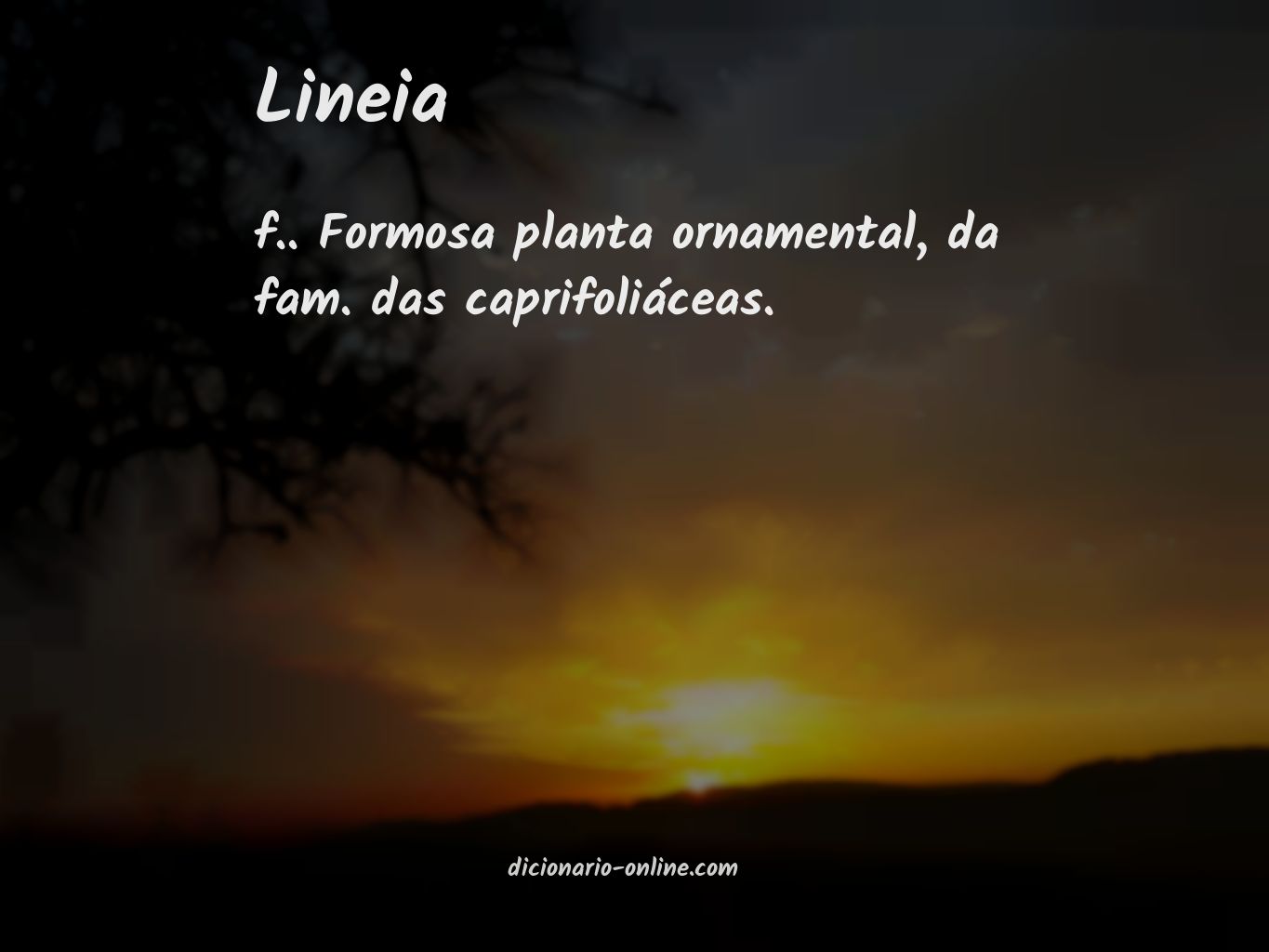 Significado de lineia