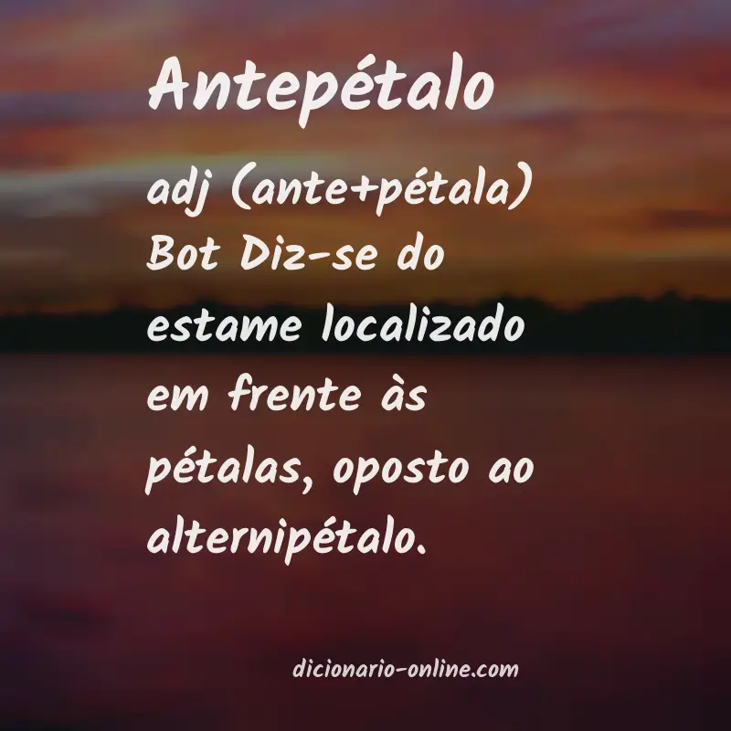 Significado de antepétalo
