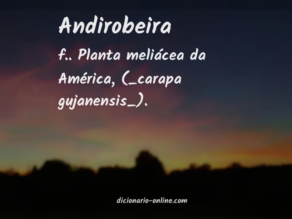 Significado de andirobeira