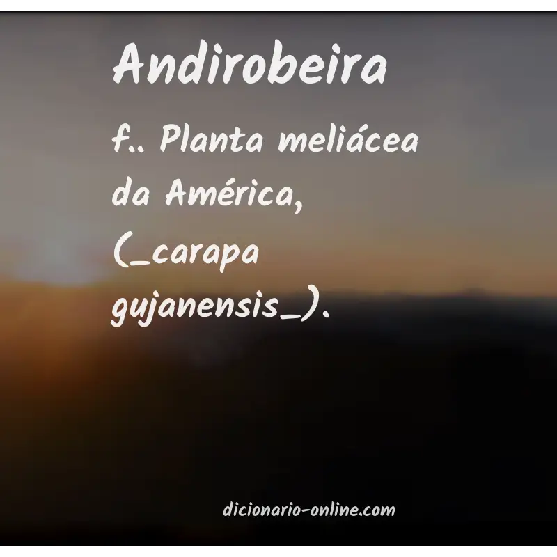 Significado de andirobeira