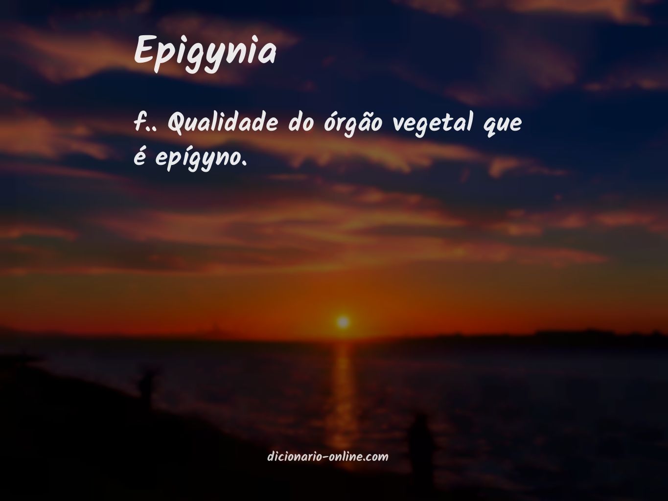 Significado de epigynia