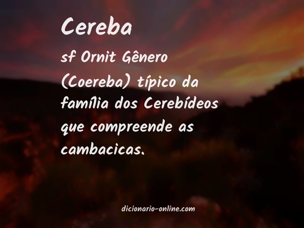 Significado de cereba