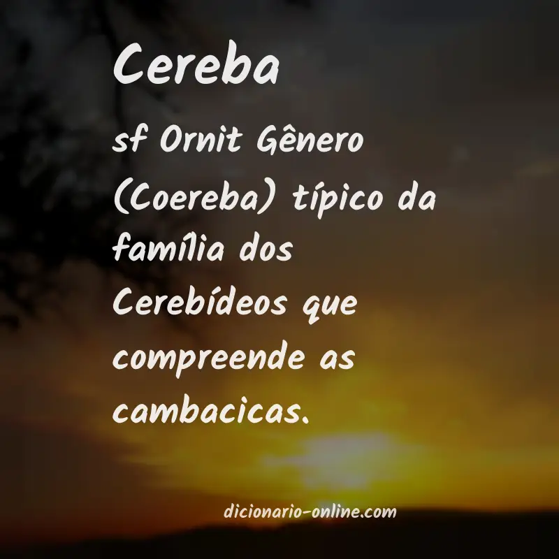 Significado de cereba