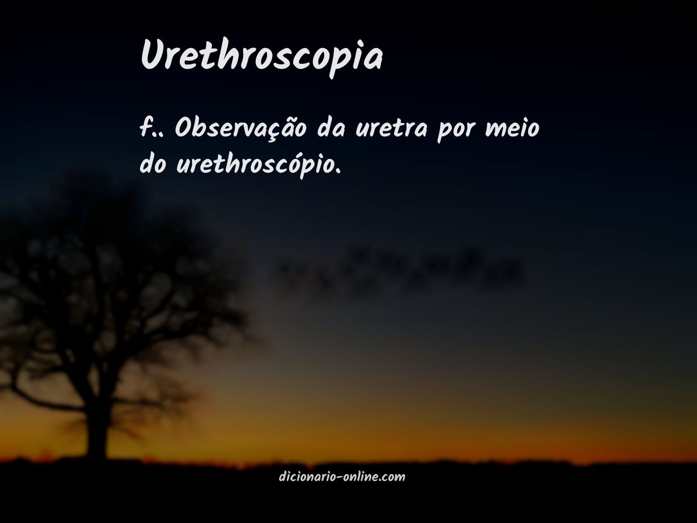 Significado de urethroscopia