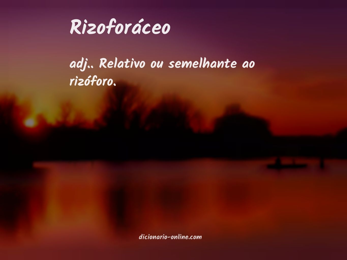 Significado de rizoforáceo