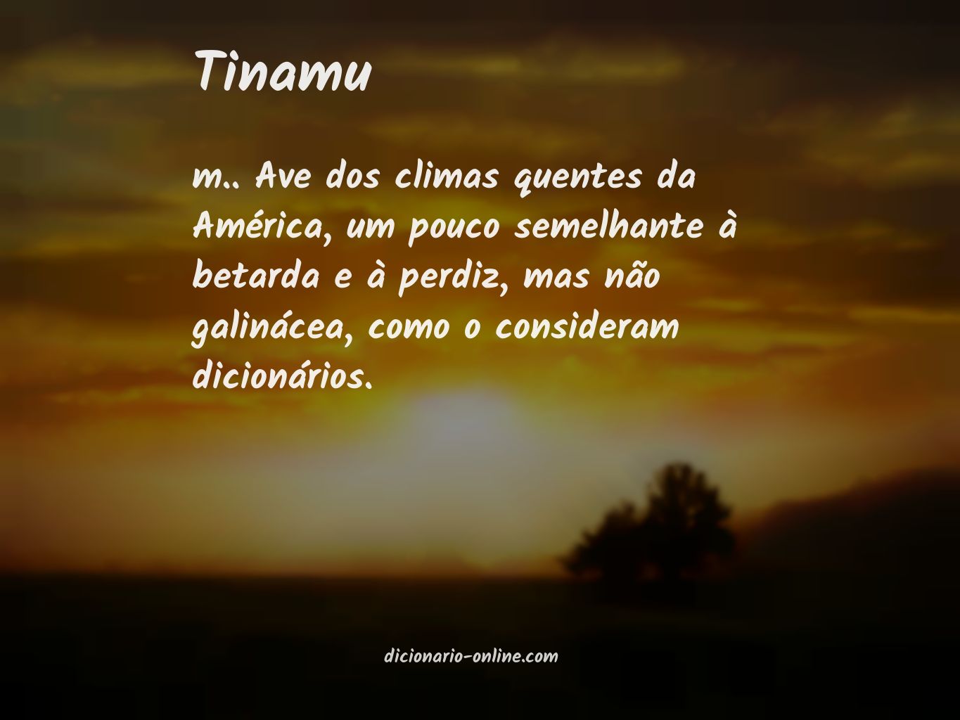 Significado de tinamu