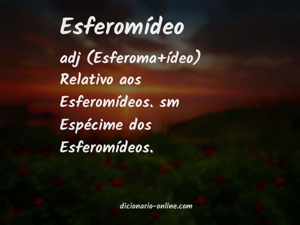 Significado de esferomídeo