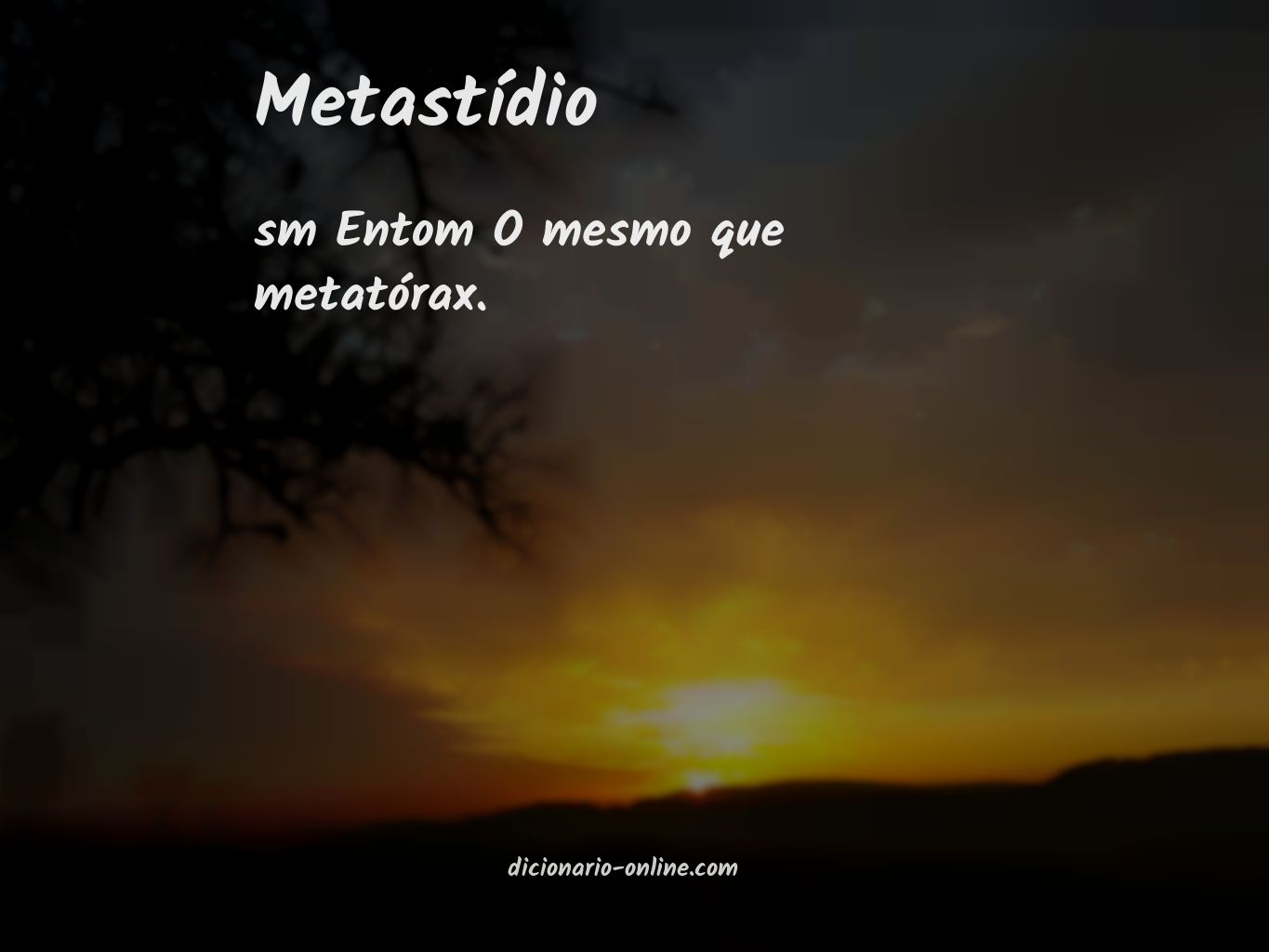 Significado de metastídio