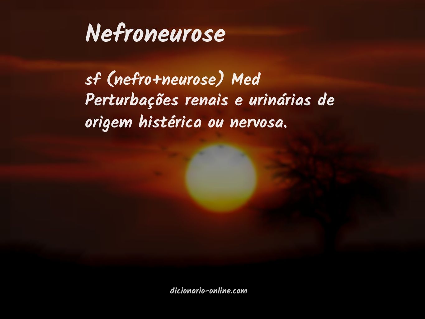 Significado de nefroneurose