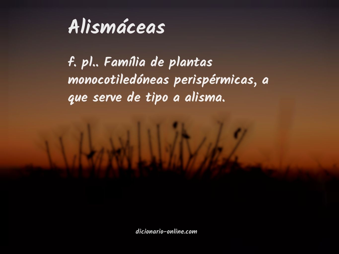 Significado de alismáceas