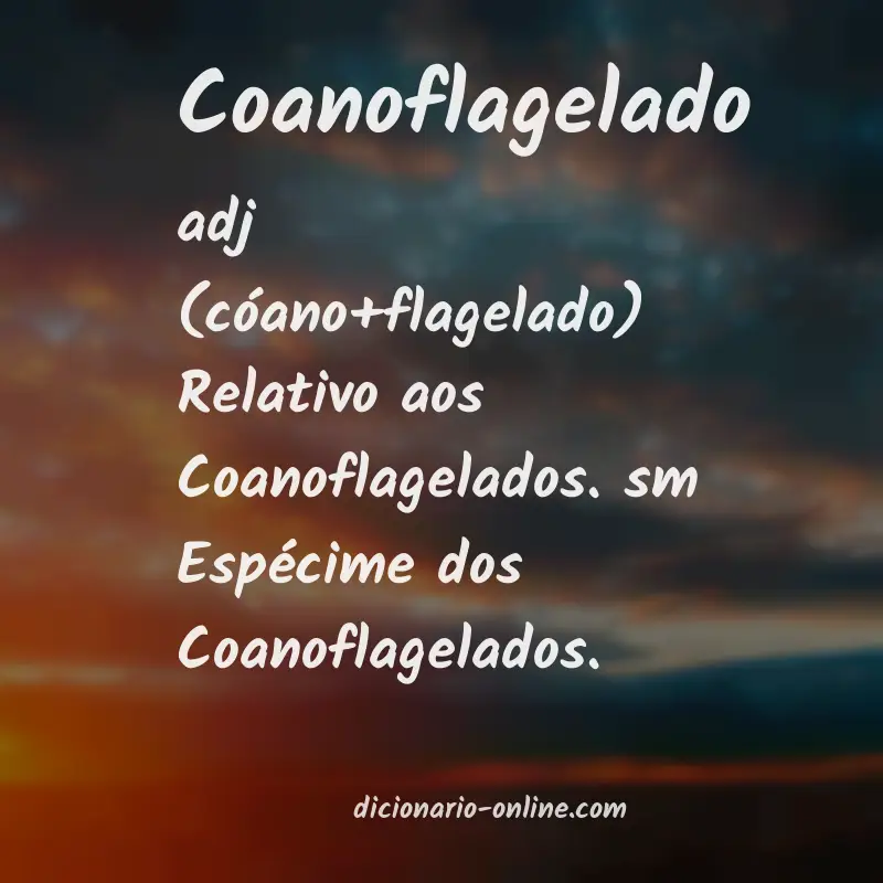 Significado de coanoflagelado