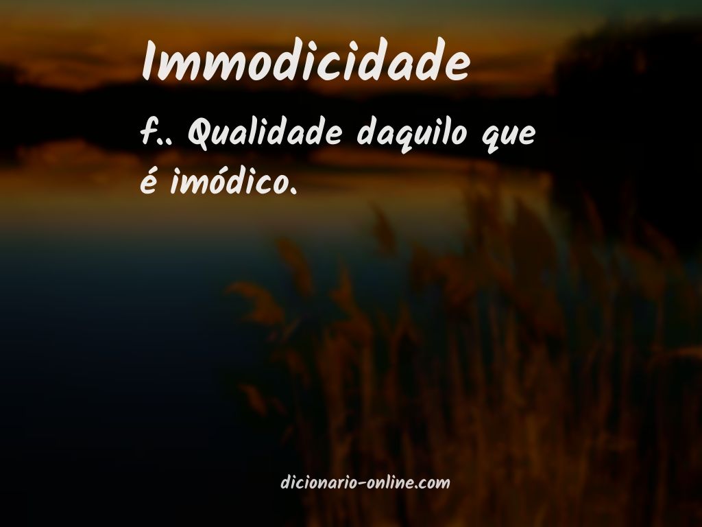 Significado de immodicidade