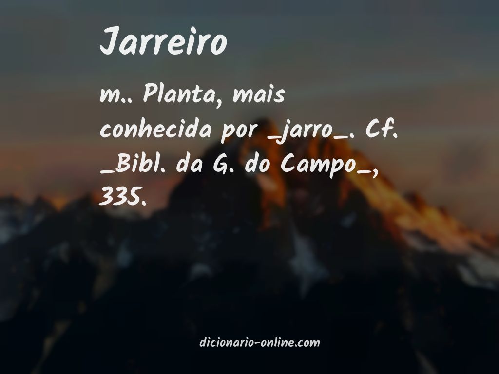 Significado de jarreiro