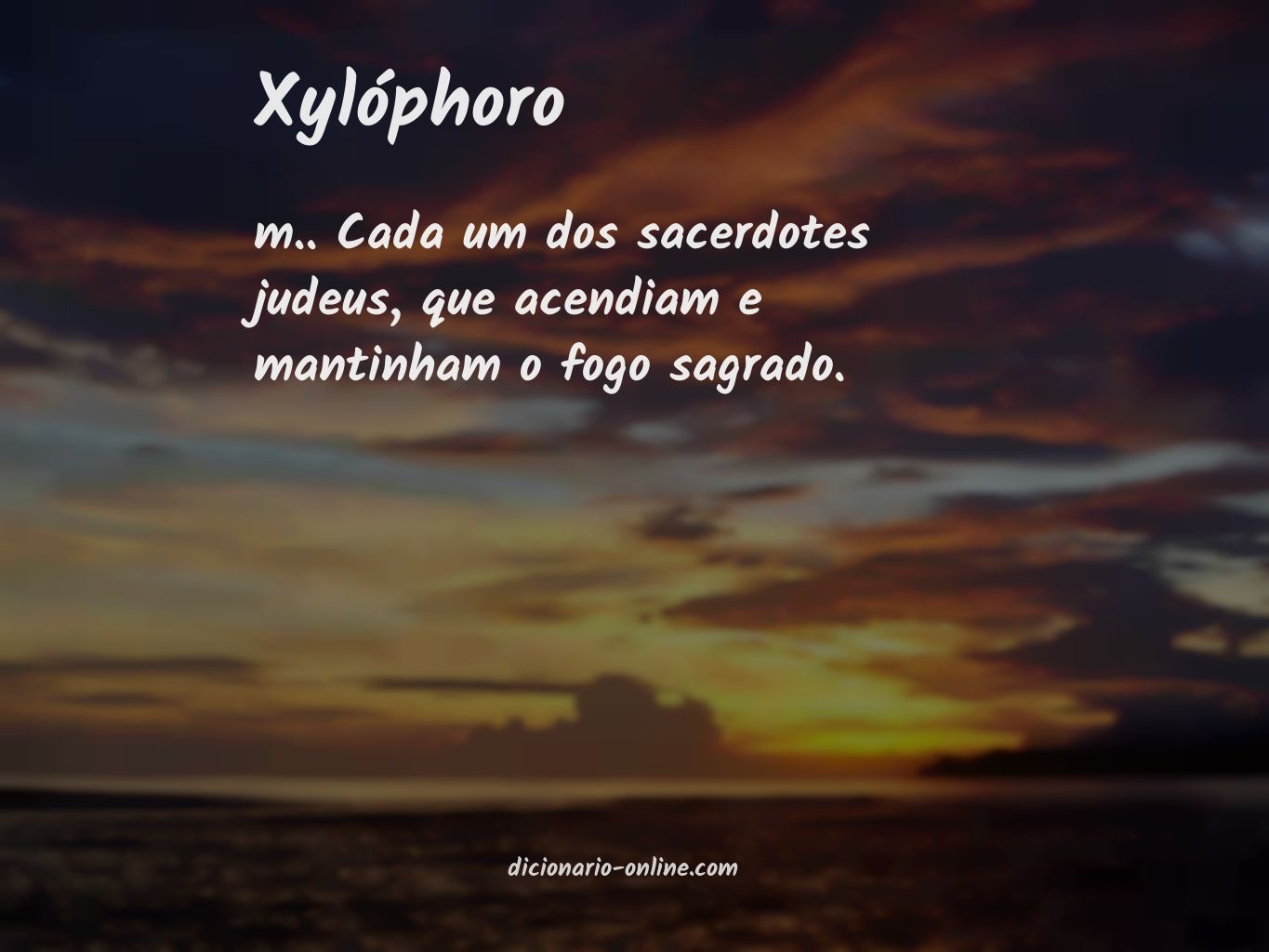 Significado de xylóphoro