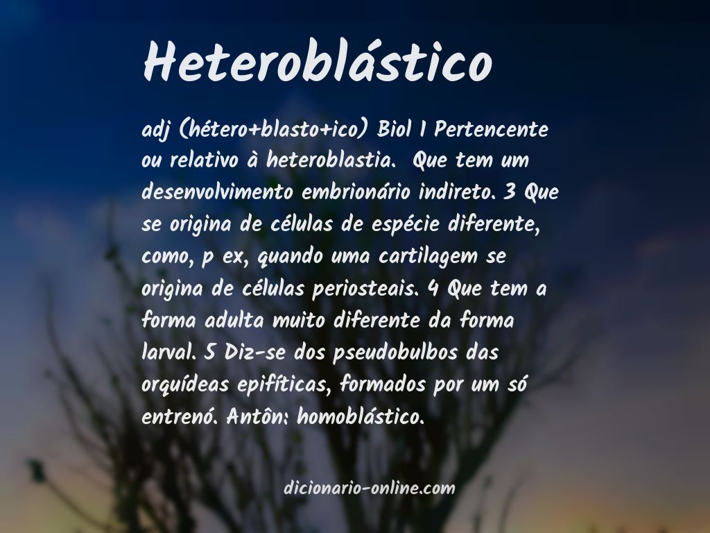 Significado de heteroblástico