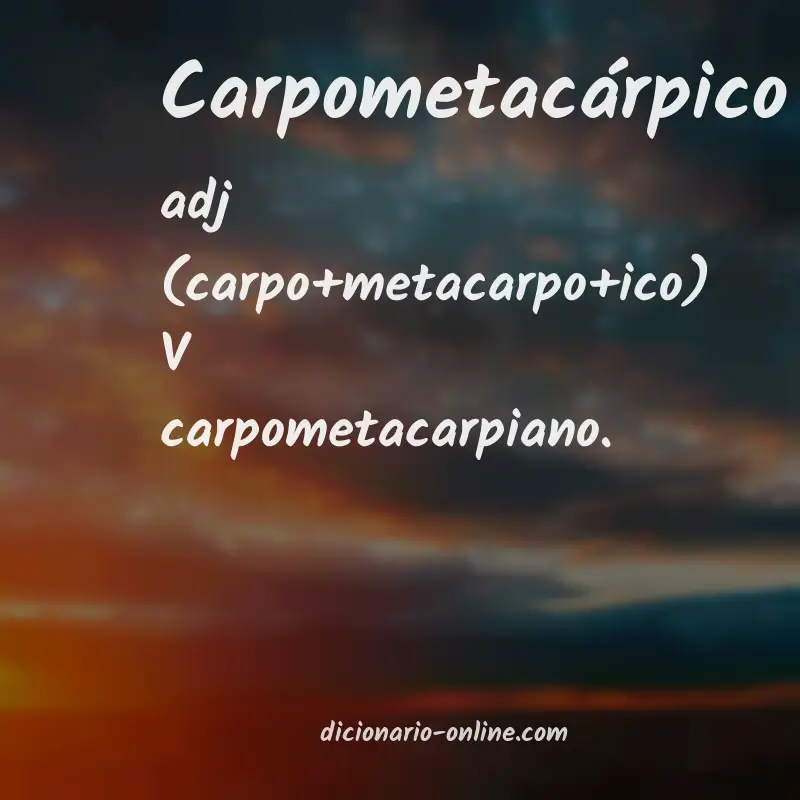Significado de carpometacárpico