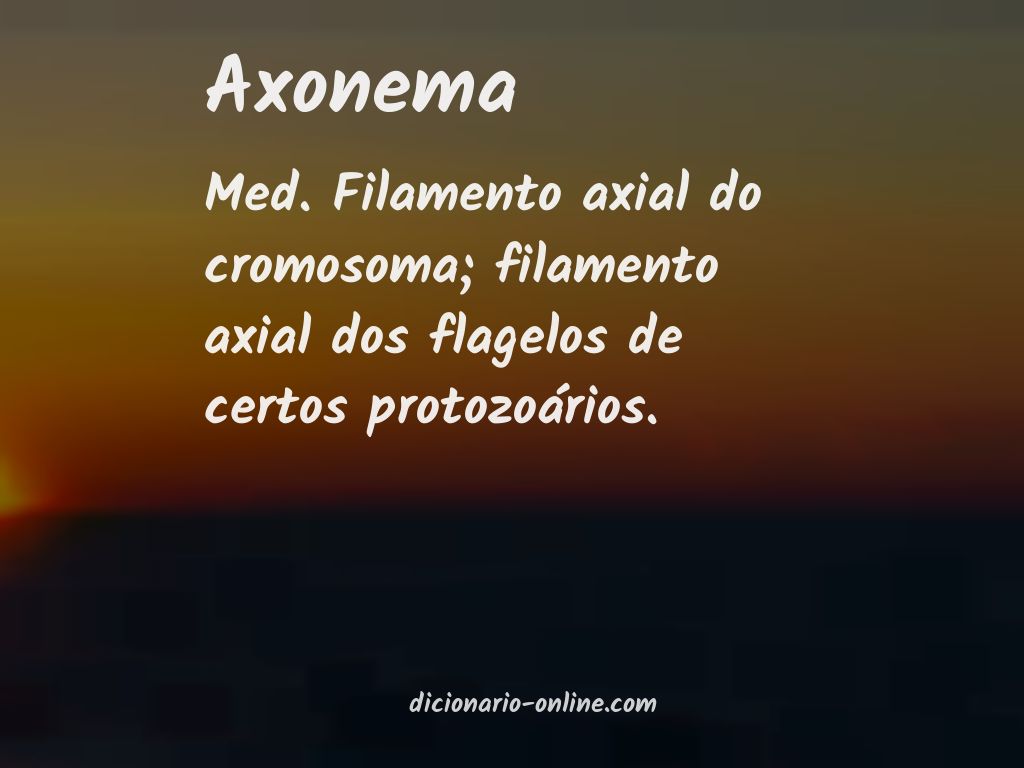 Significado de axonema