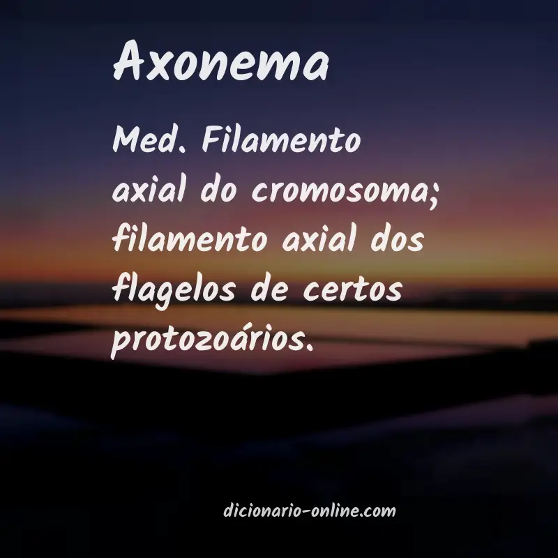 Significado de axonema