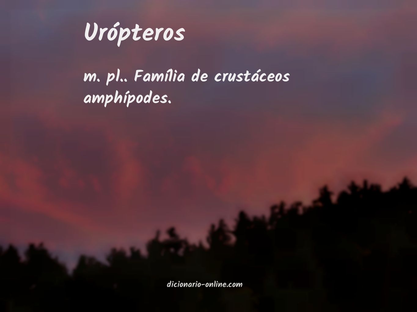 Significado de urópteros