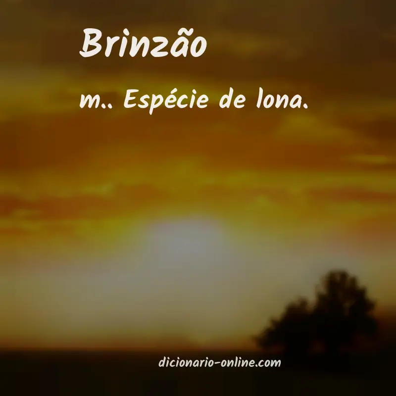 Significado de brinzão