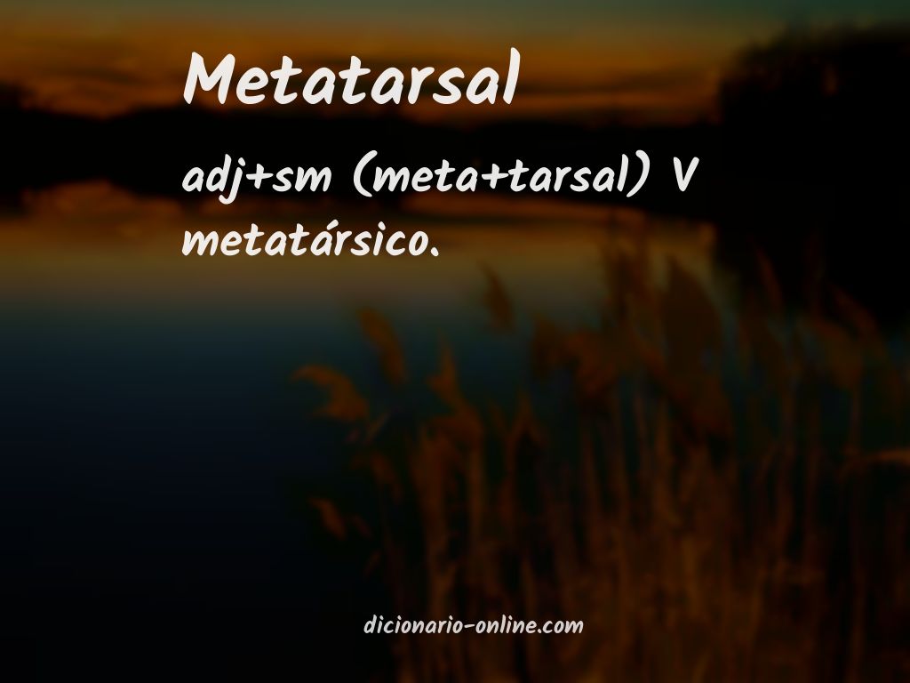 Significado de metatarsal