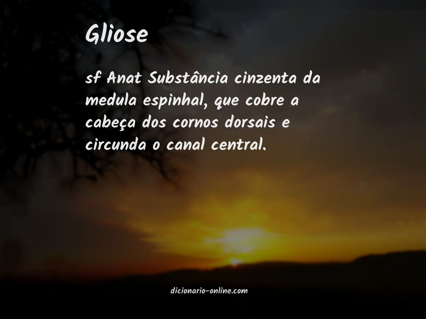 Significado de gliose