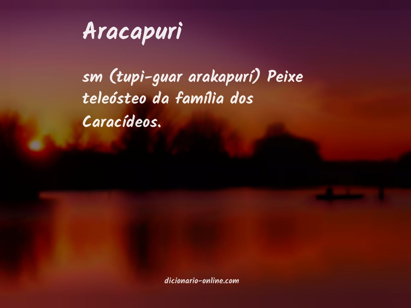 Significado de aracapuri