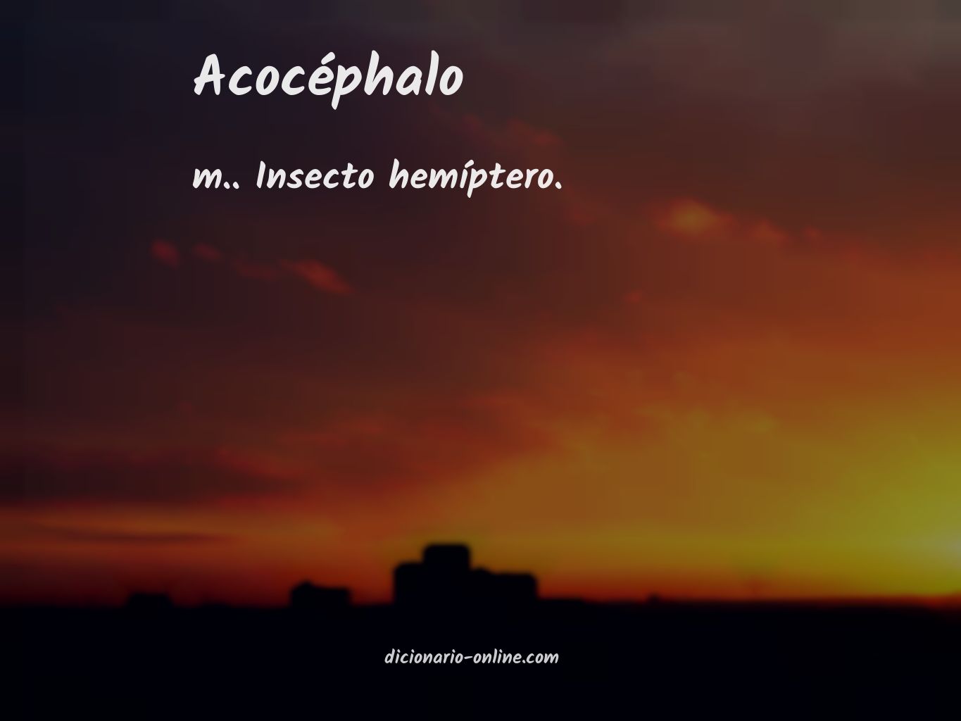 Significado de acocéphalo