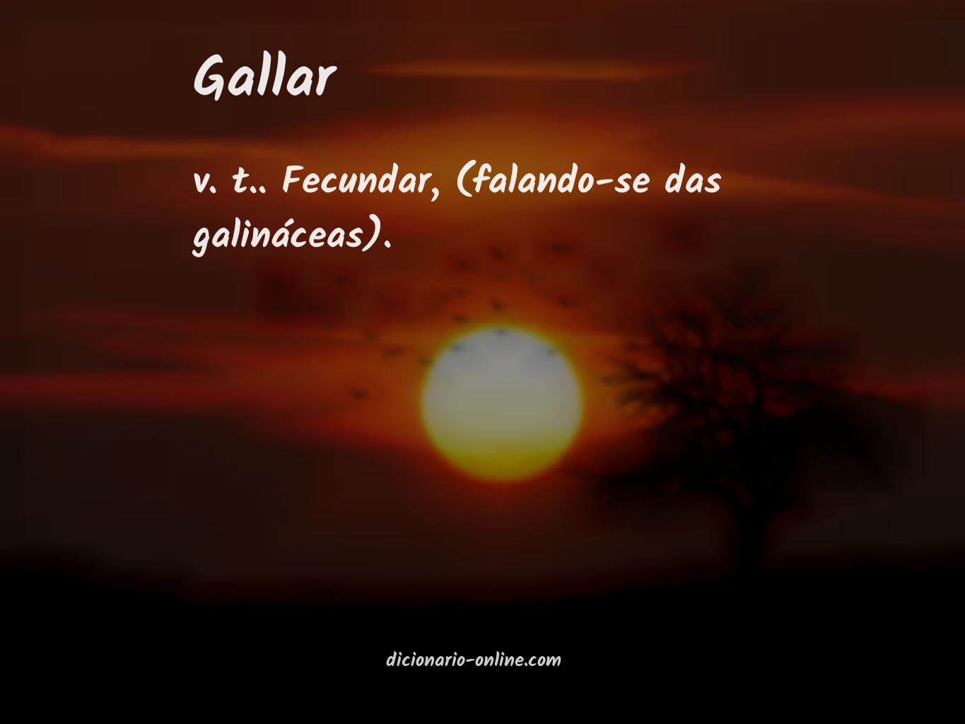 Significado de gallar