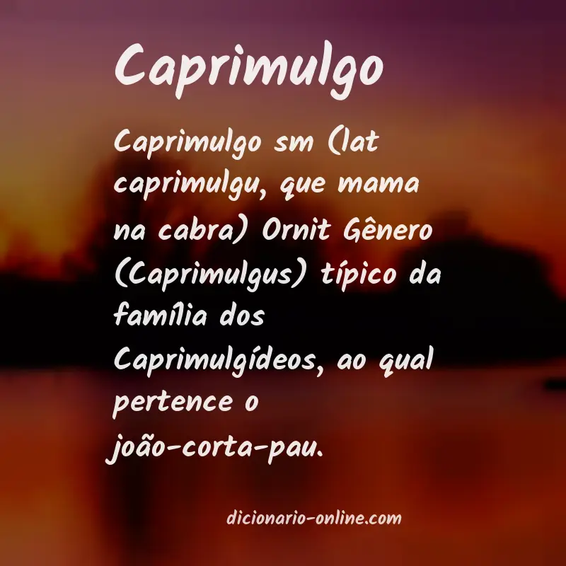 Significado de caprimulgo