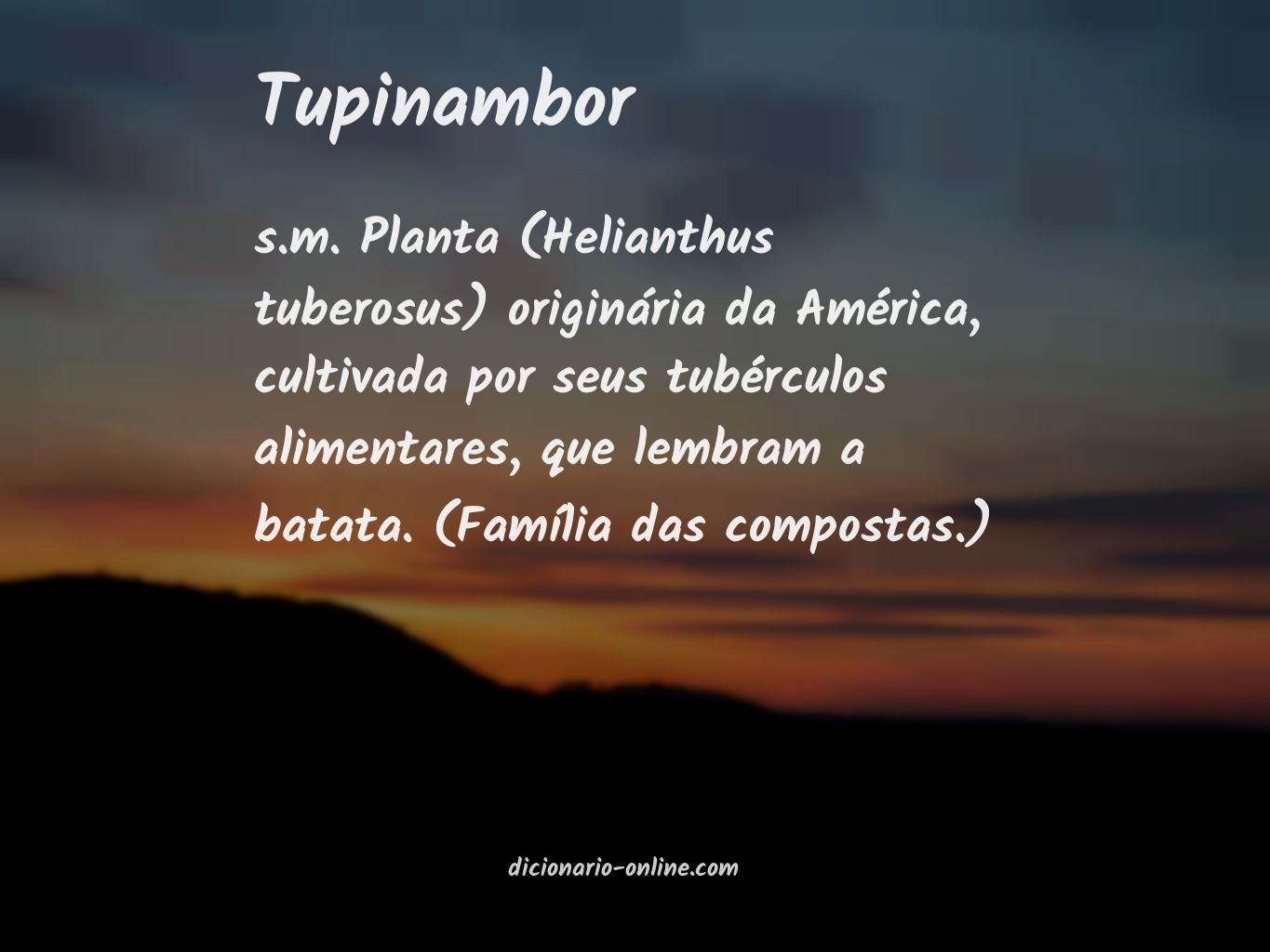 Significado de tupinambor