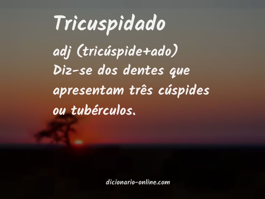 Significado de tricuspidado