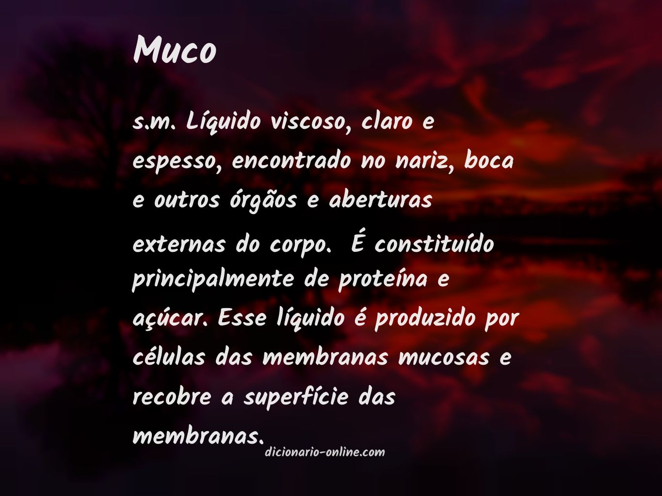 Significado de muco