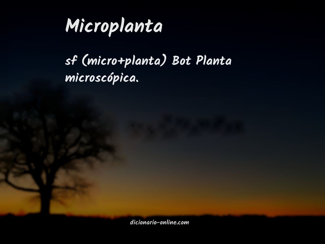 Significado de microplanta