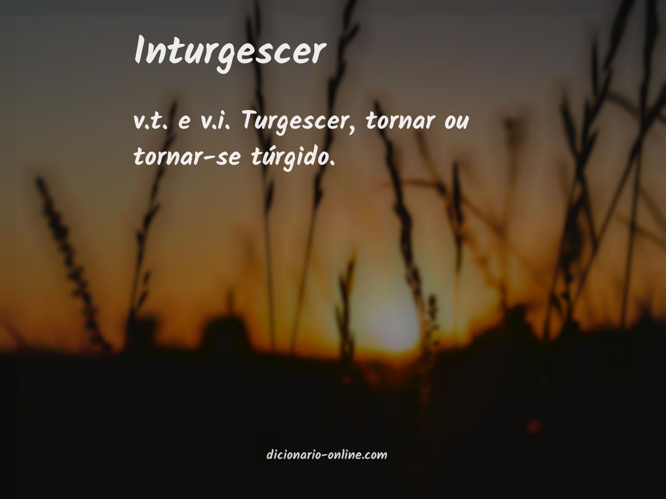 Significado de inturgescer