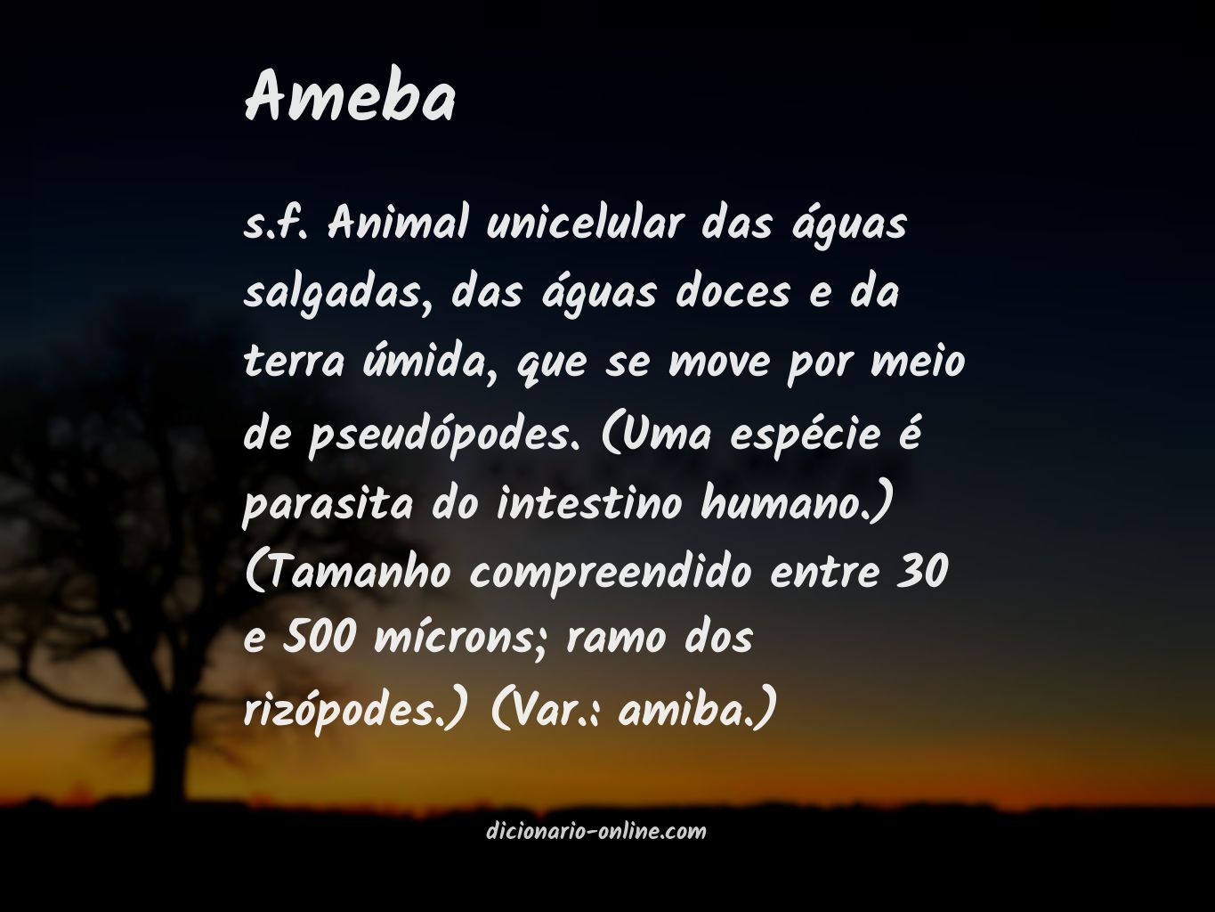 Significado de ameba