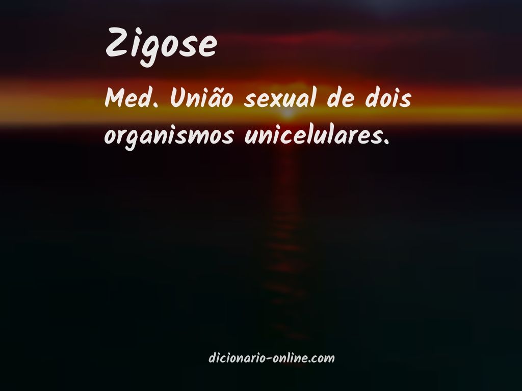 Significado de zigose