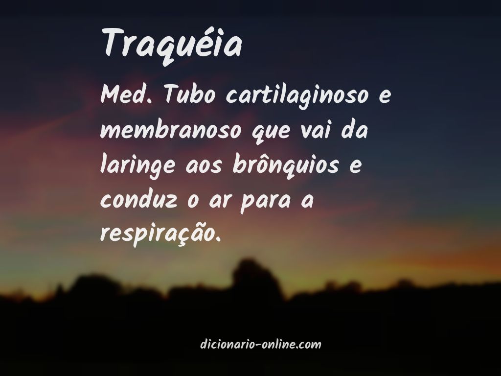 Significado de traquéia