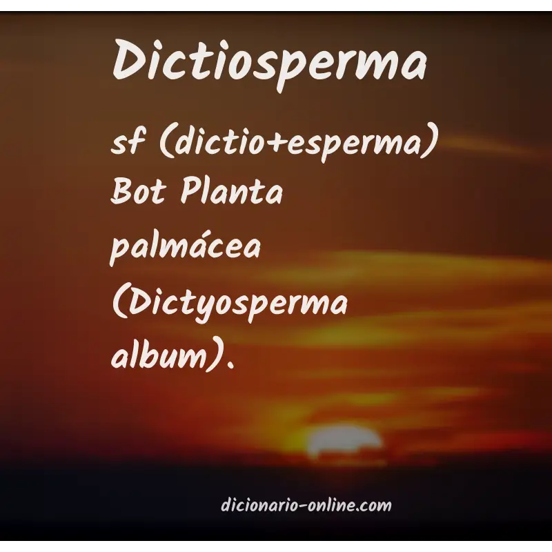 Significado de dictiosperma