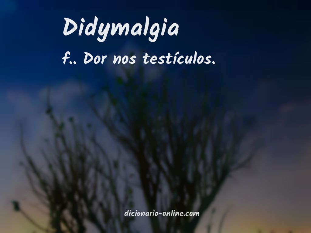 Significado de didymalgia