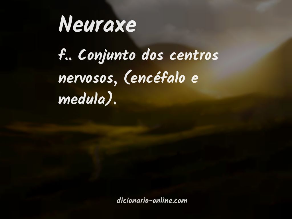 Significado de neuraxe