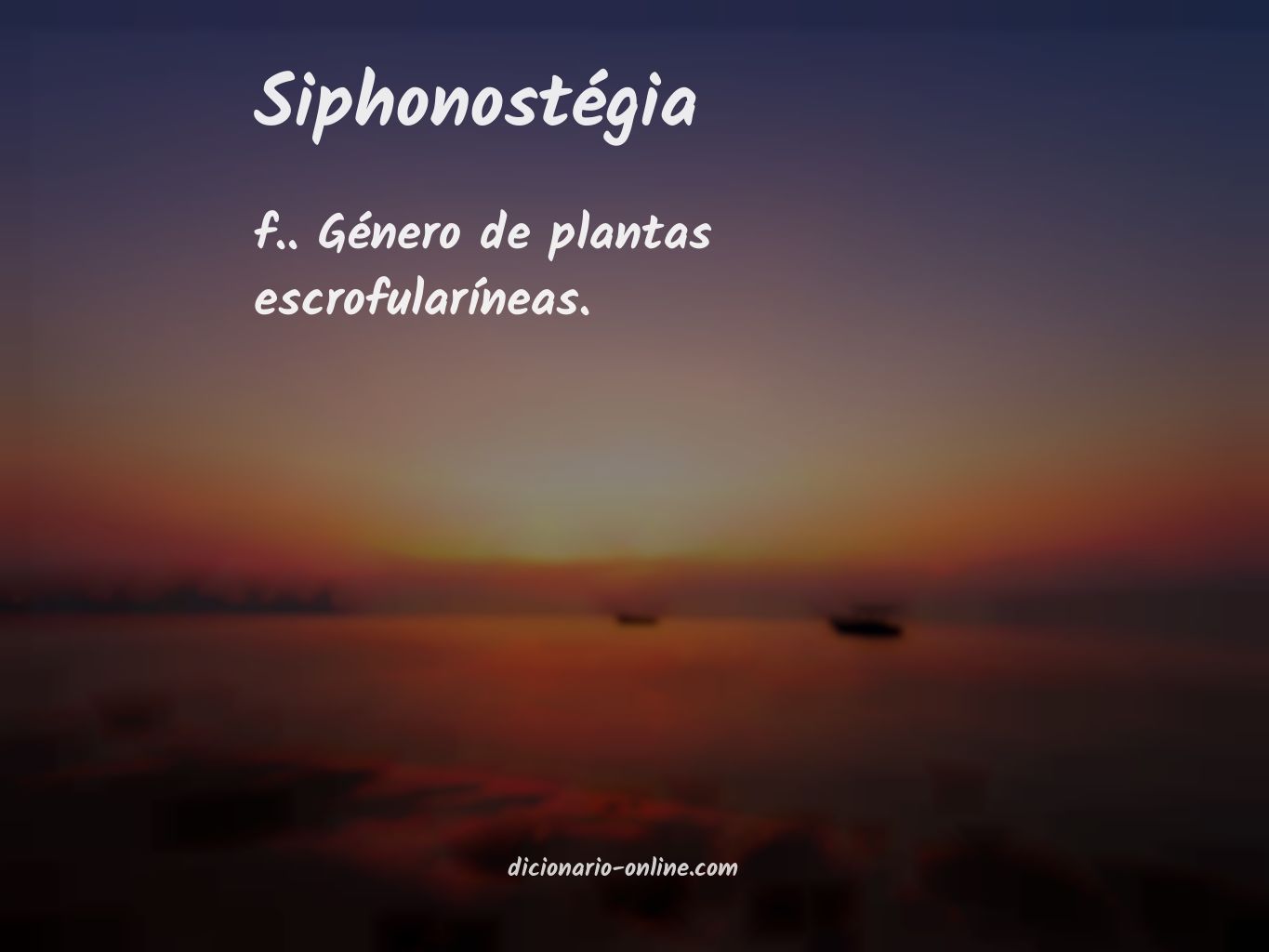 Significado de siphonostégia