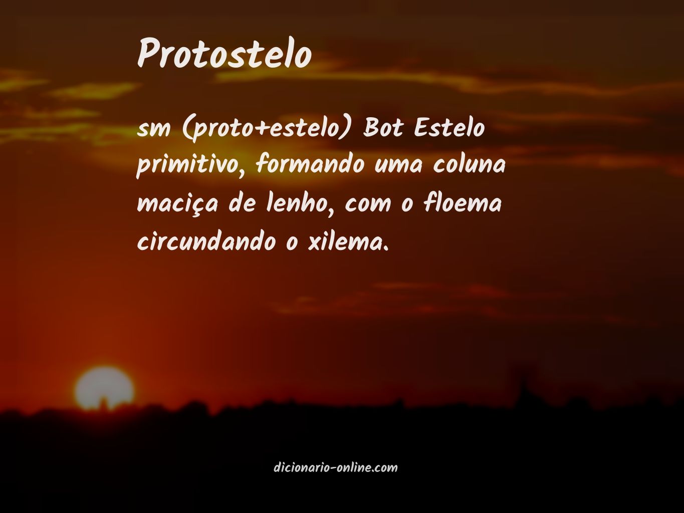 Significado de protostelo