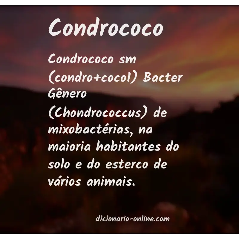 Significado de condrococo