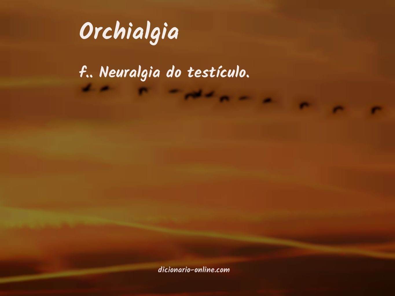 Significado de orchialgia