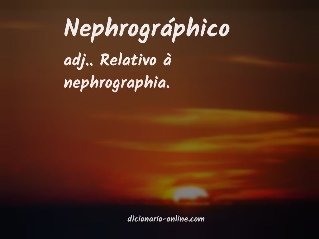 Significado de nephrográphico