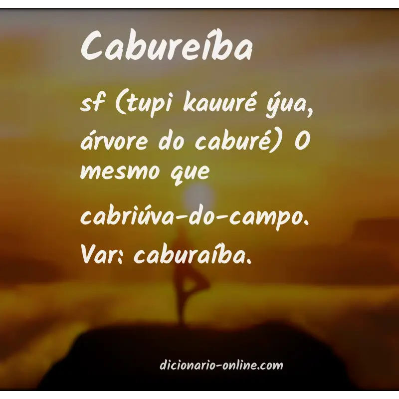 Significado de cabureíba